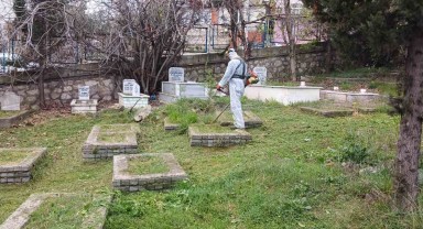Dilovası Belediyesi Mezarlık Bakım Çalışmalarını Hızlandırıyor