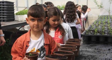 Doğayla İç İçe: İskele Anaokulu Öğrencileri Van Büyükşehir Belediyesi Seralarını Ziyaret Etti