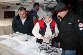 DÜZCE TARIM VE ORMAN MÜDÜRLÜĞÜ EKİPLERİ AKÇAKOCA LİMANINDA HAMSİ DENETİMİ YAPTI