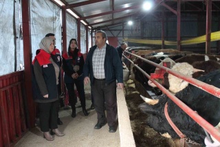 DÜZCE'DE TARIM VE ORMAN BAKANLIĞI DESTEKLİ HAYVANCILIK BAŞARISI