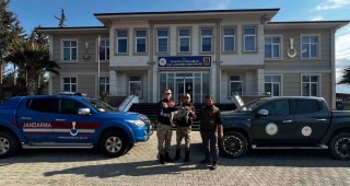 GAZİANTEP JANDARMA TİLKİYİ KURTARDI