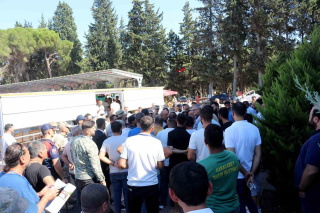 KARACABEY HARASI'NDA 54 TAYIN SATIŞINDAN 20 MİLYON 845 BİN LİRA GELİR ELDE EDİLDİ