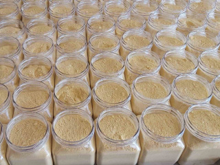 KARYA FARMA HBX AR-GE FİRMASI KABAKTAN UN ÜRETTİ