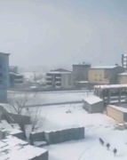 KÖPEK SALDIRISIYLA PANİK VE ÜZÜNTÜ