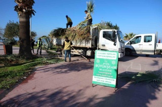 KUŞADASI’NA YENİ BİR SOLUK: PARK VE BAHÇELER DAİRESİ EKİPLERİ ÇALIŞMALARINA DEVAM EDİYOR