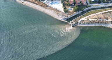 Marmara Denizi'nde Kahverengi Tehlike