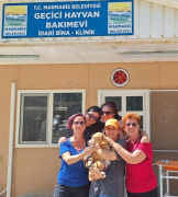 MARMARİS BELEDİYESİ HAYVAN REHABİLİTASYON MERKEZİ 157 HAYVANI SAHİPLENDİREREK YENİ YUVALARINA KAVUŞTURDU