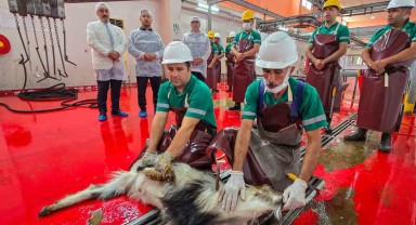 Mersin'de Bayram Geleneği: Şehitler İçin Kurban Kesimi