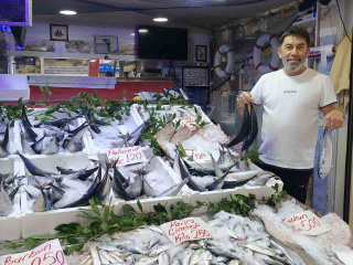 ORDU’DA PALAMUDUN FİYATI YÜKSELDİ