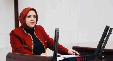 Tarım Sorunlarına Dikkat Çeken Denizli Milletvekili
