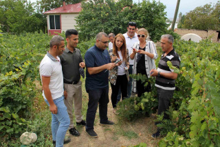 VAN TİCARET BORSASI ERCİŞ ÜZÜMÜ DENETLEDİ