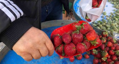 Vatandaşların Alışveriş Bilincini Geliştirmek