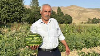YÜKSEKOVA'DA YETİŞTİRİLEN KARPUZLAR DİYARBAKIR'A RAKİP OLDU
