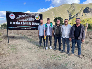ZEKERİYA KÖYÜNDE KEŞFEDİLEN DEĞERLİ BAL