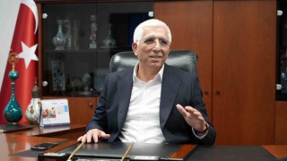 ZEYTİN REKOLTESİNDE YAĞLIK SORUNU