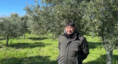 Zeytin Üreticileri için Sevindirici Haberler