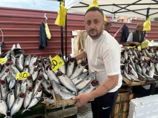 ZONGULDAK PALAMUT FİYATLARI DÜŞTÜ, VATANDAŞLAR MEMNUN
