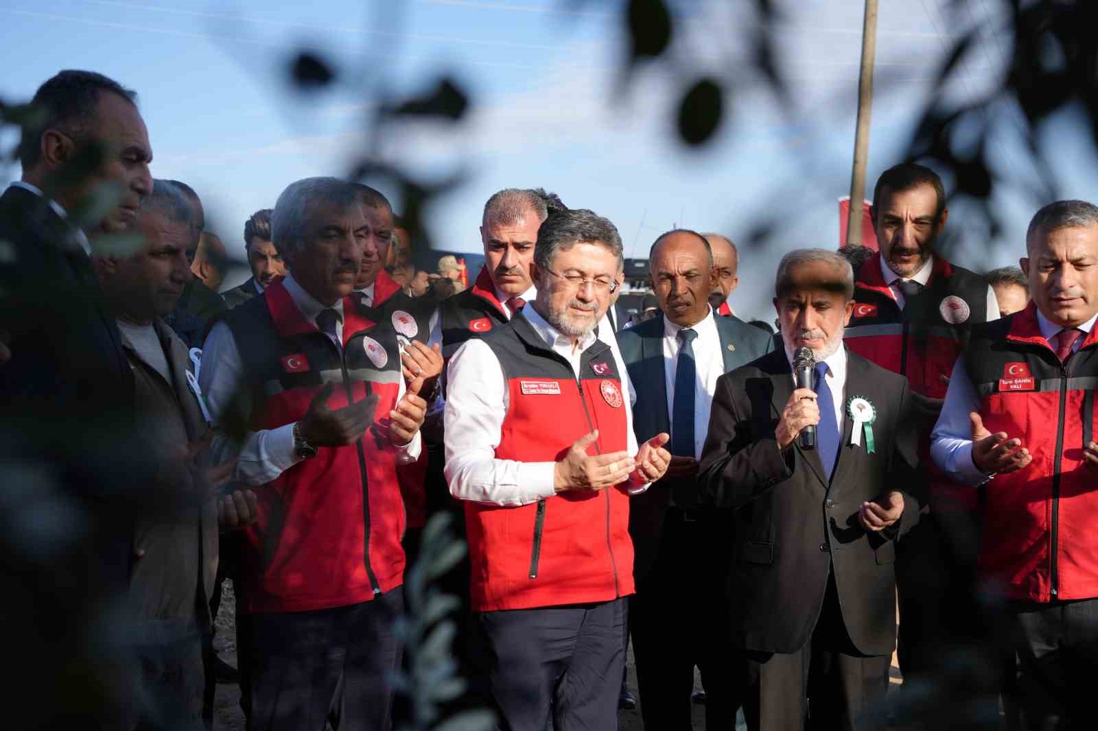 TARIM VE ORMAN BAKANI KİLİS’TE ZEYTİN HASADINA KATILDI