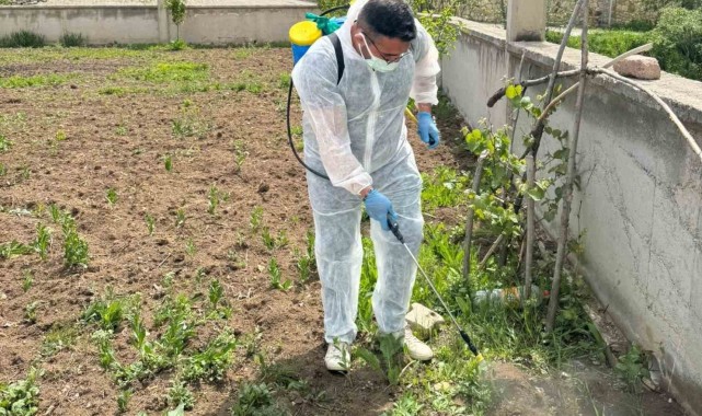 Yabancı Ot Mücadelesi Aydıntepe İlçesinde Başlatıldı
