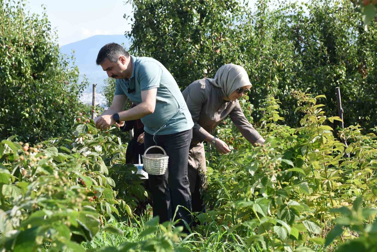 YILDIRIM BELEDİYE BAŞKANI KADIN KOOPERATİFİNDE ÜRETİCİ KADINLARLA BULUŞTU