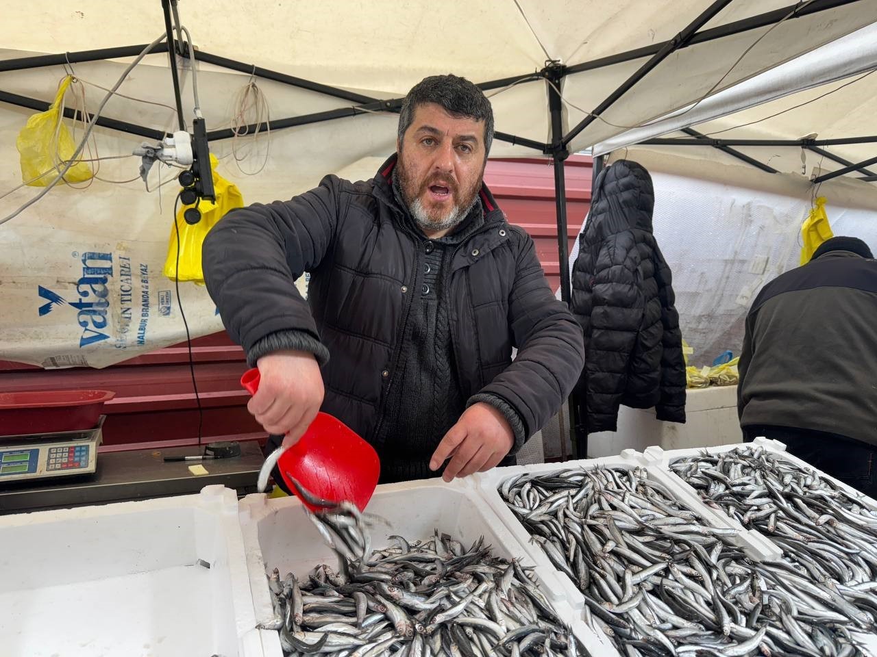 ZONGULDAK’TA HAMSİ FİYATLARI DÜŞTÜ!